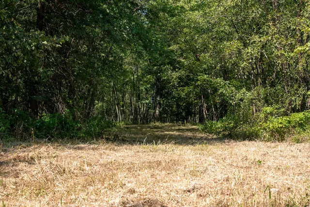 a view of outdoor space and green space