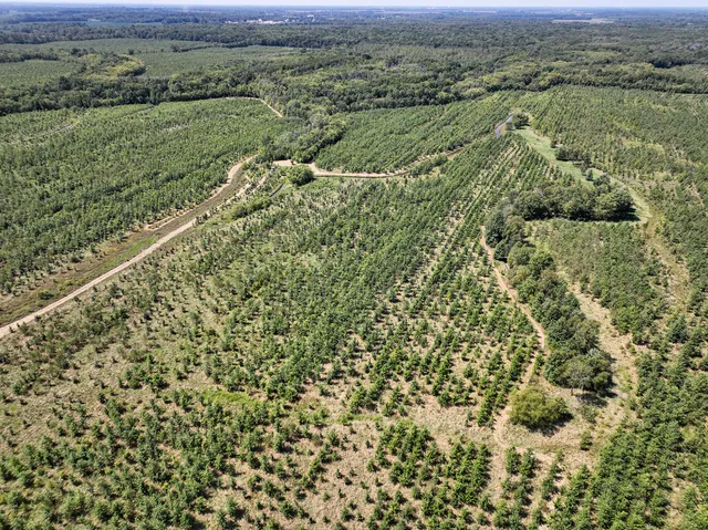 a view of a green field with lots of bushes