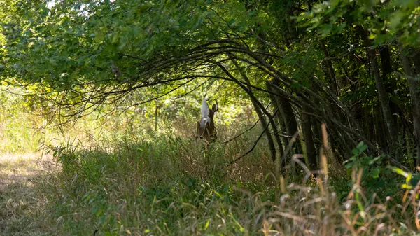 a view of a bathroom
