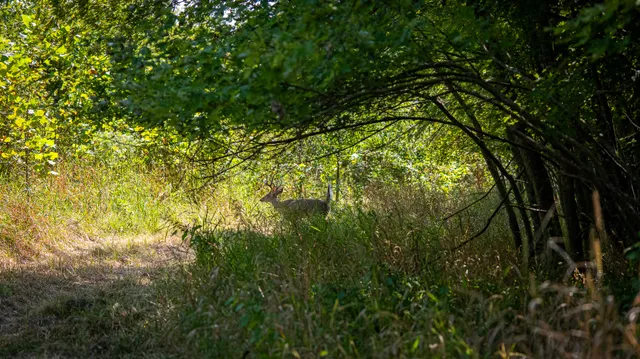 $3,528,000 | Tract 4 Mayflower Road, Clay City, IL 62824