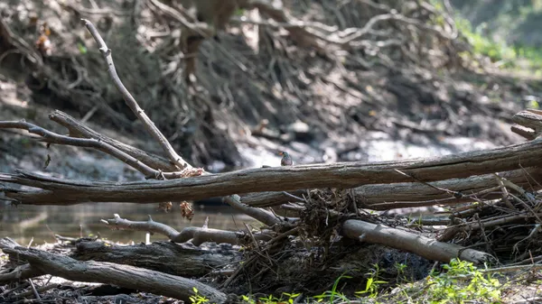 $3,528,000 | Tract 4 Mayflower Road, Clay City, IL 62824