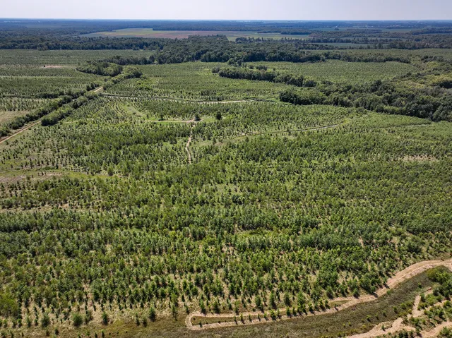 a view of a large yard with lots of green space