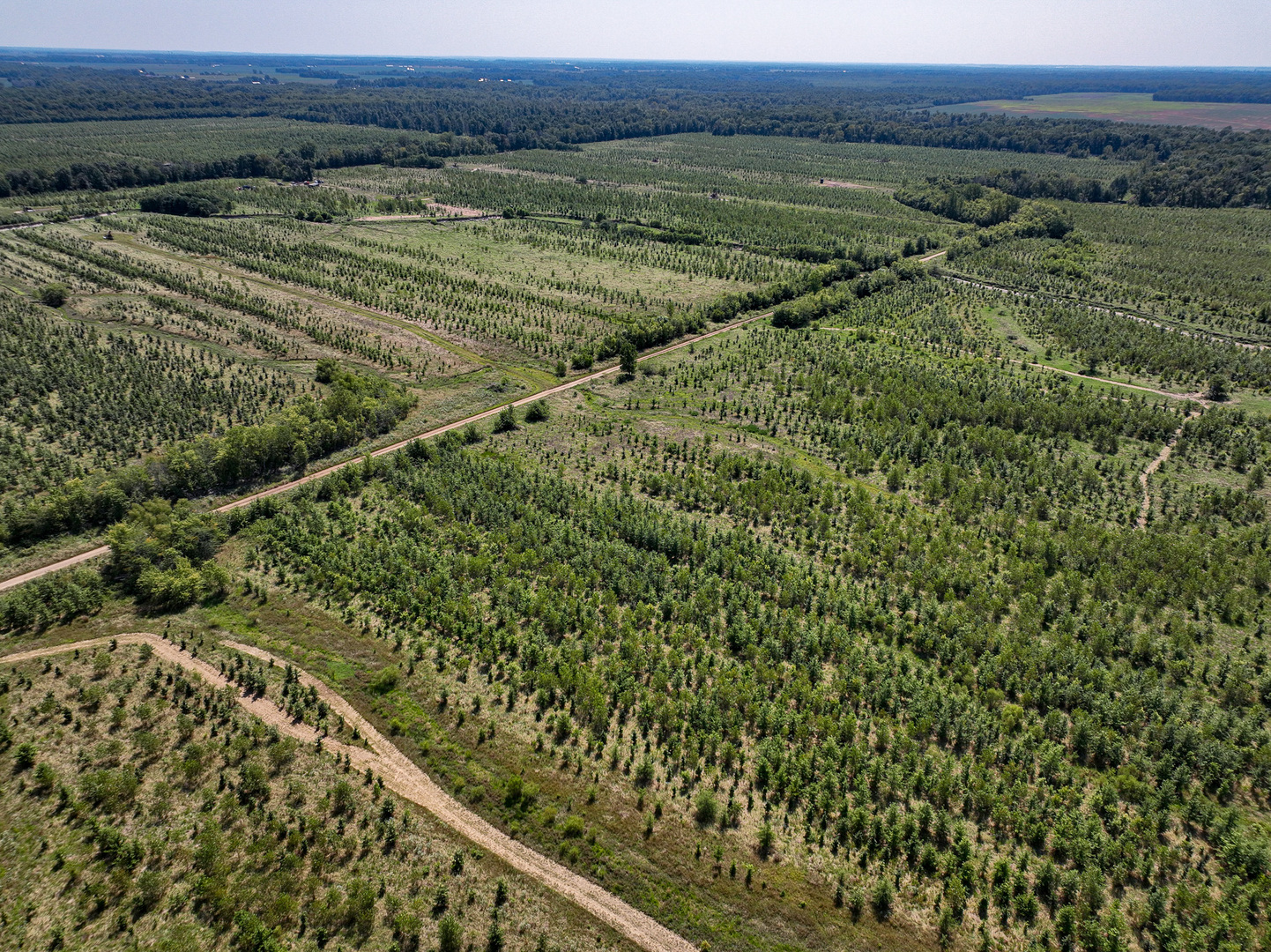 Tract 4 Mayflower Road Clay City, IL 62824 - Photo 7 of 52 a view of a field with an ocean view