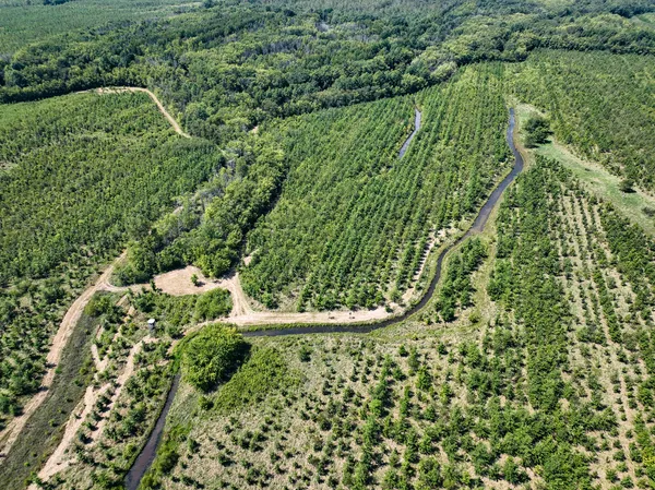 a view of a lush green forest with a lake