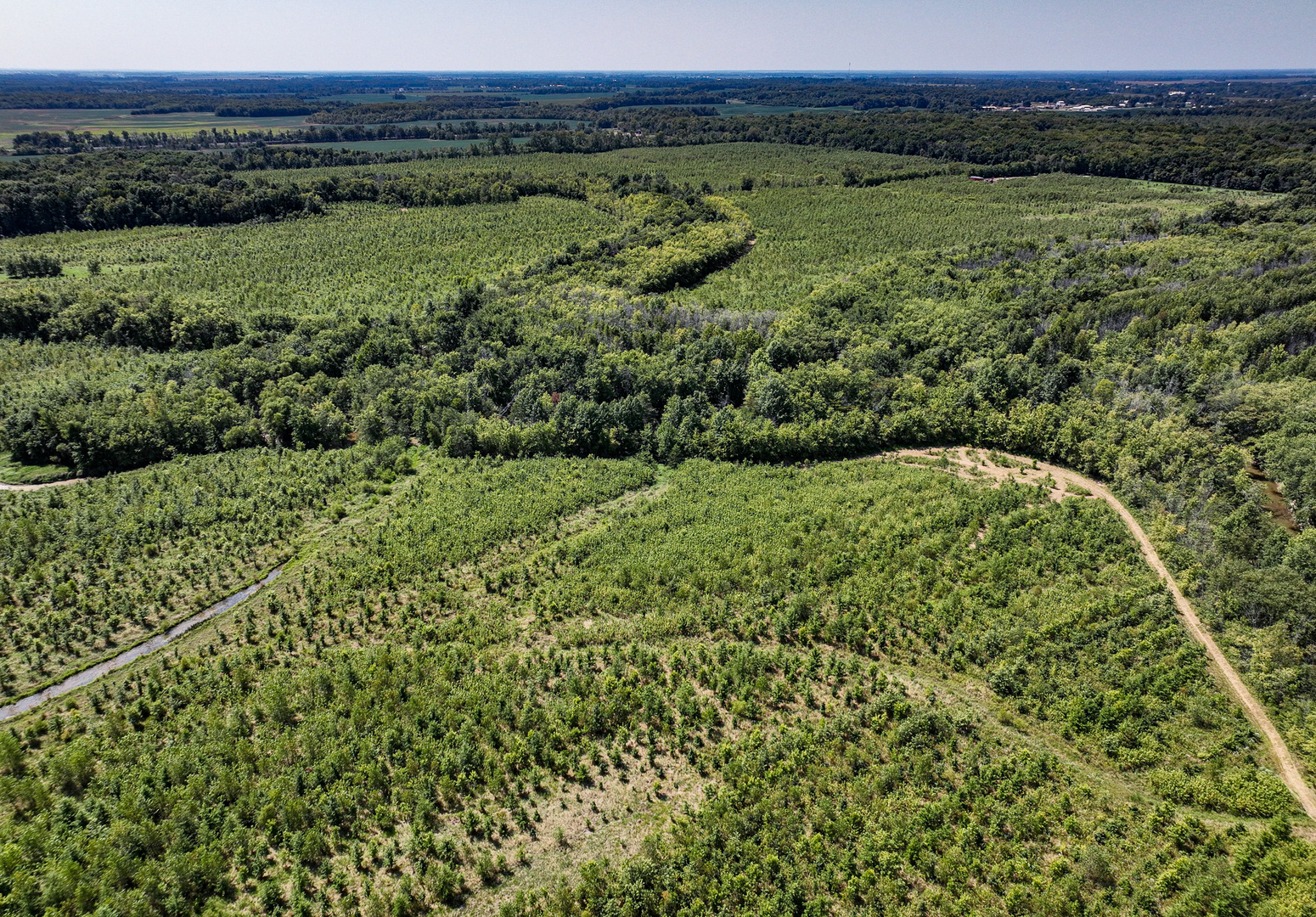Tract 4 Mayflower Road Clay City, IL 62824 - Photo 9 of 52 a view of a lush green forest with a lake