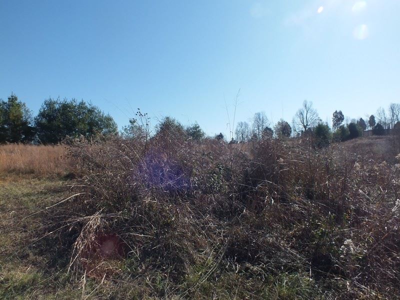 148 Turci Nevins Road Caneyville, KY 42721 - Photo 22 of 32 Gallery Image 22