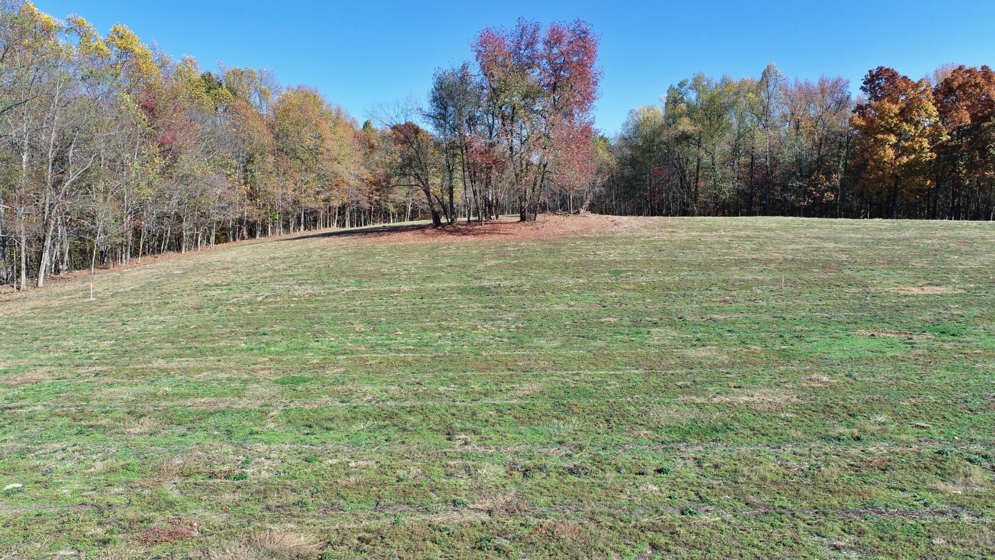 0 Old Hall Road Liberty, TN 37095 - Photo 5 of 47 a backyard of a house with lots of green space