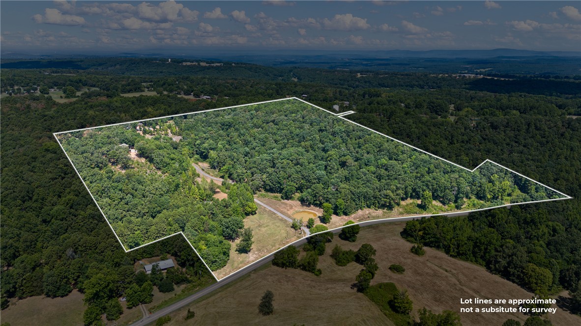 3419 Bailey Loop Road London, AR 72847 - Photo 54 of 60 Expansive wooded acreage featuring a pond, established trees, and surrounding natural landscape