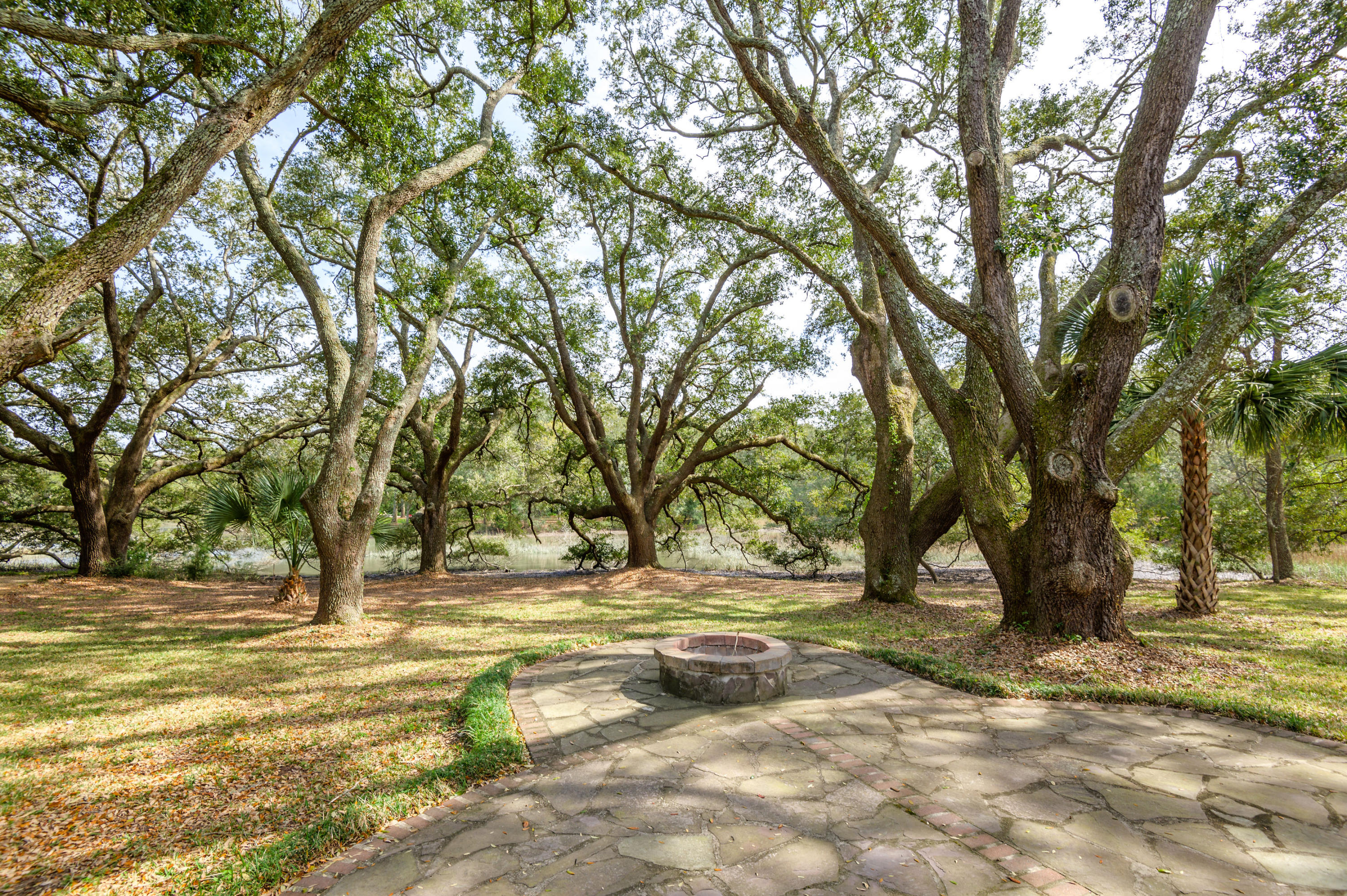 1666 Back Creek Road Charleston, SC 29412 - Photo 5 of 41 firepit