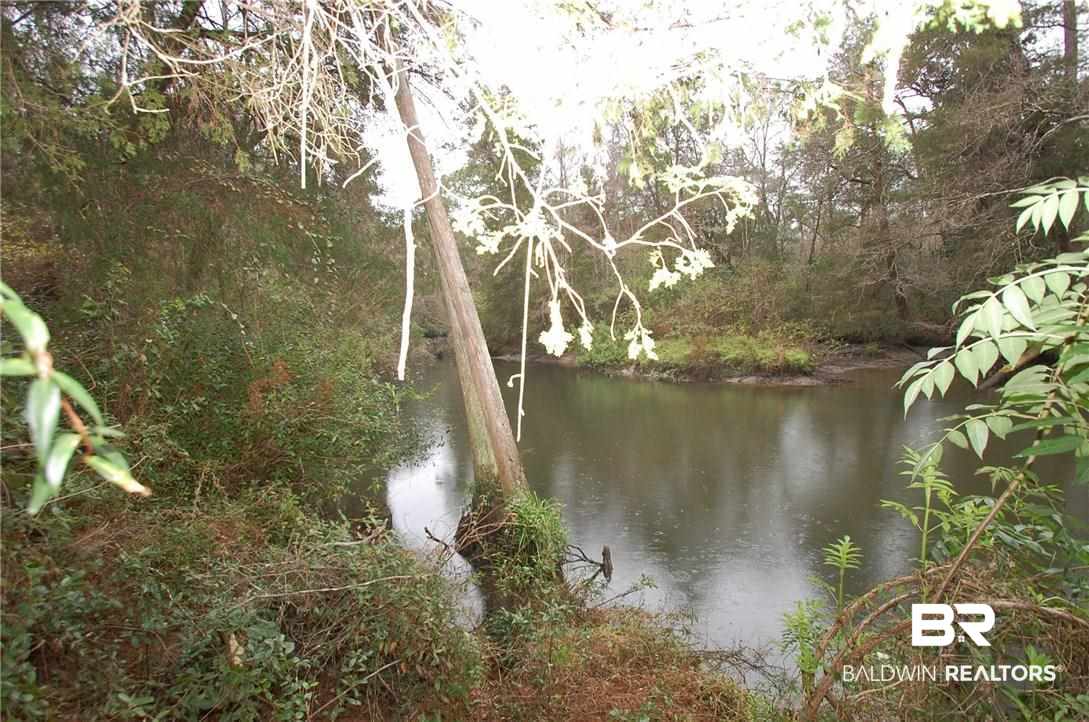 12505 Clay City Road Fairhope, AL 36532 - Photo 23 of 26