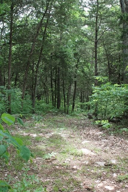 0 Shakertown Road Rockfield, KY 42274 - Photo 4 of 5