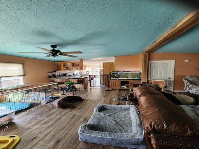 1549 Bethany Church Road Belton, SC 29627 - Photo 5 of 32