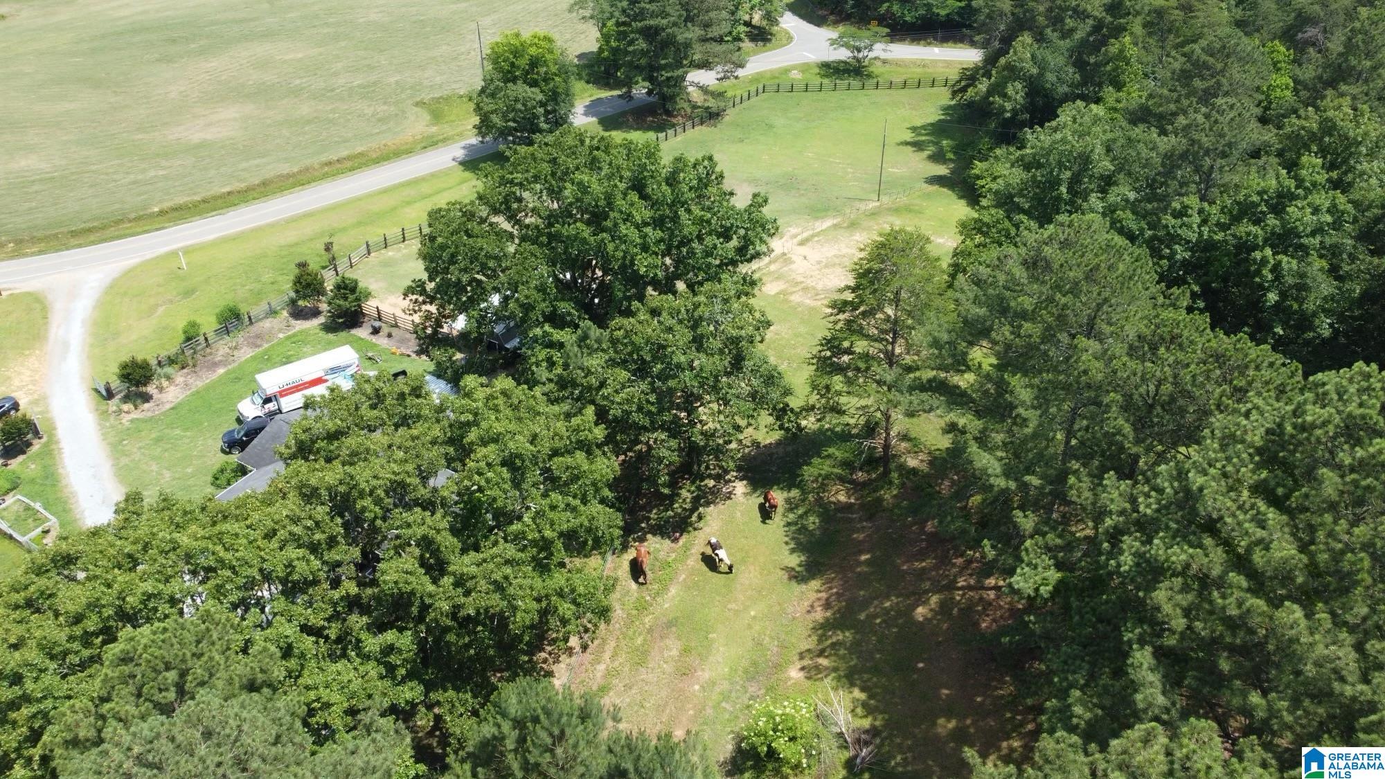 1034 Bob Glenn Road Morris, AL 35116 - Photo 53 of 60