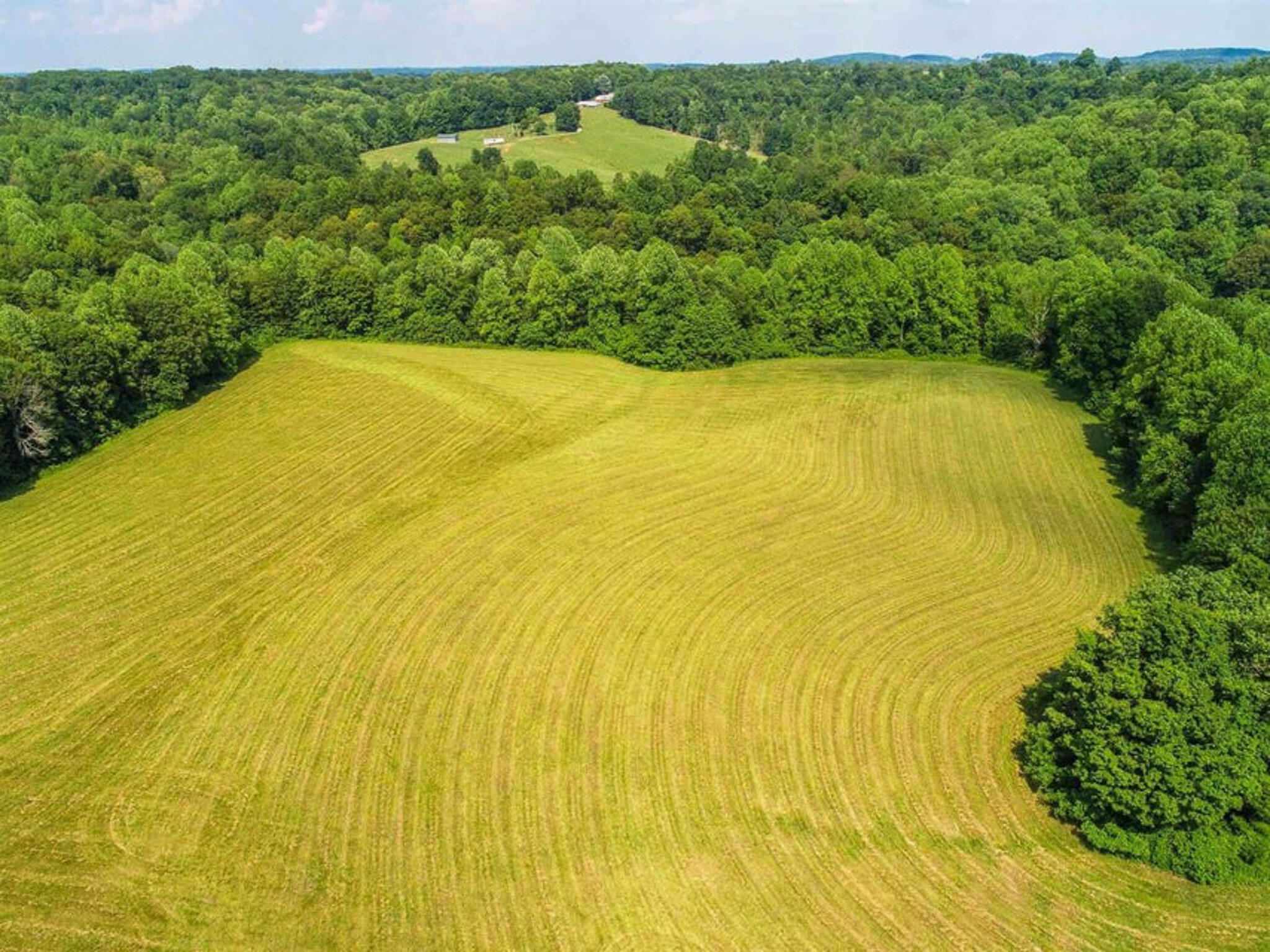 1640 Clear Branch Road Liberty, KY 42539 - Photo 95 of 135 20200917165213828182000000-o