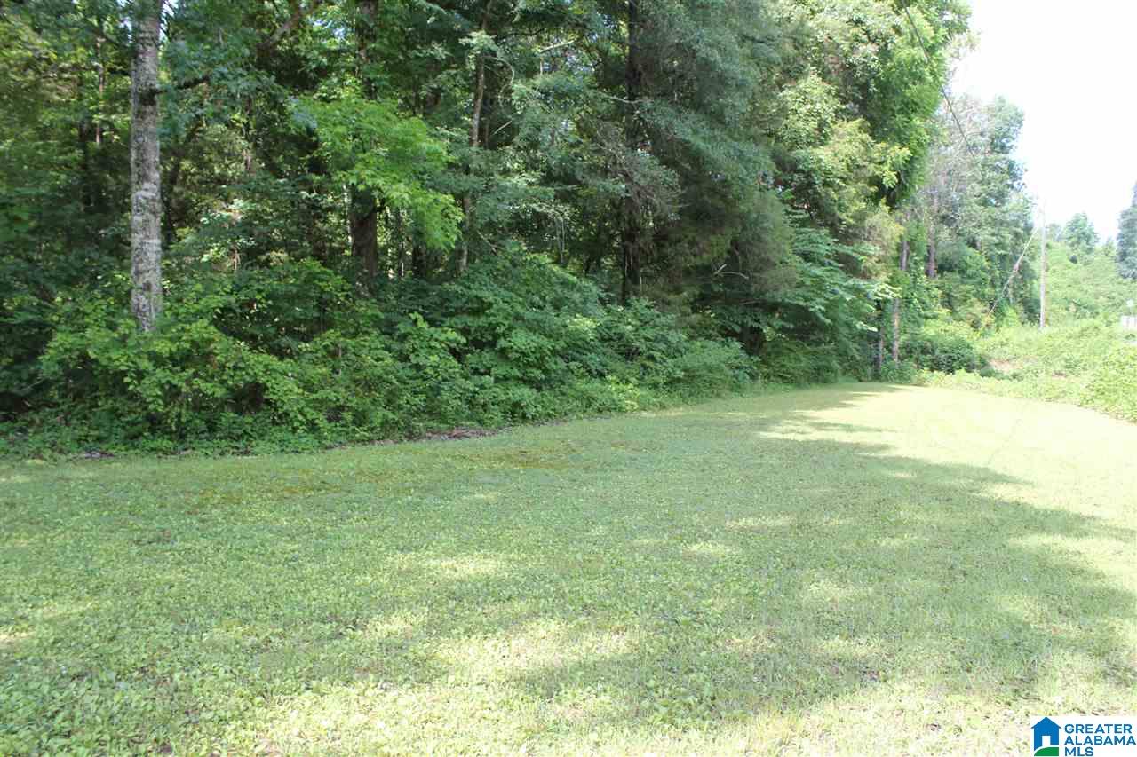 2727 Marvel Road Brierfield, AL 35035 - Photo 12 of 22