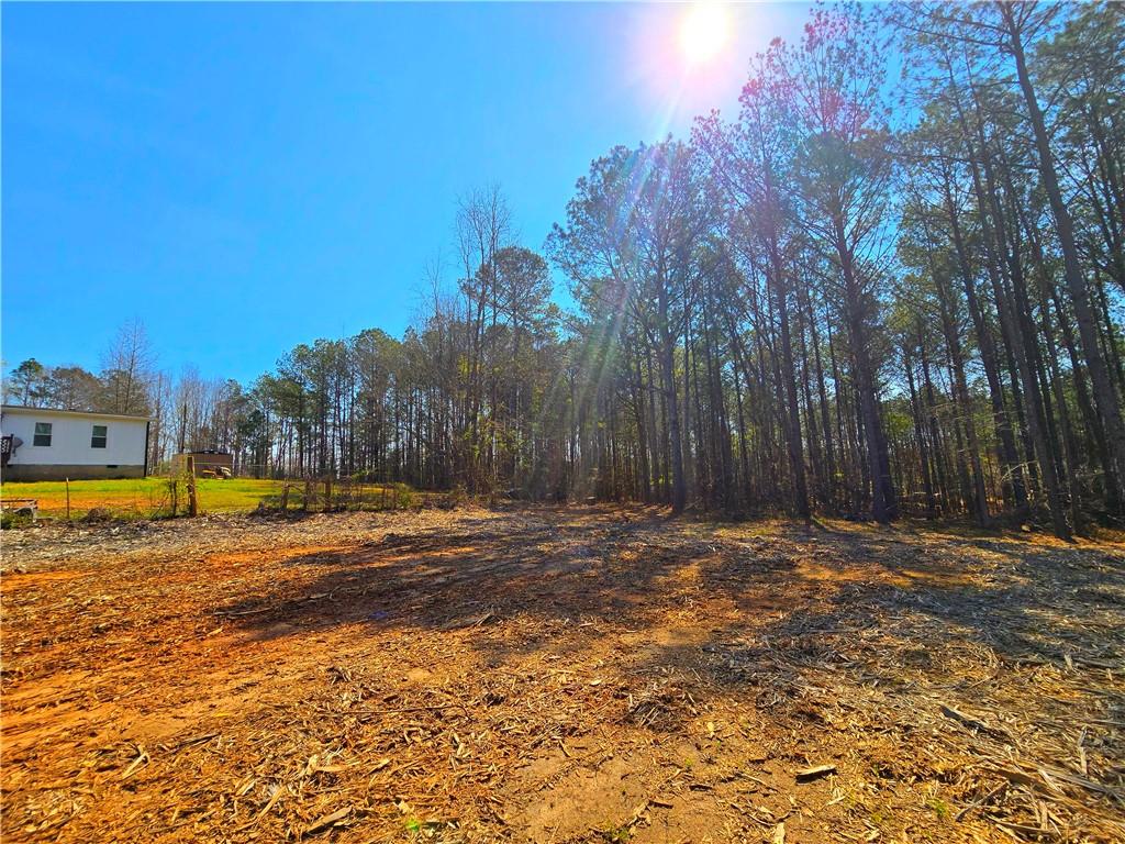 2001 Rocky Creek Road Mansfield, GA 30055 - Photo 21 of 60