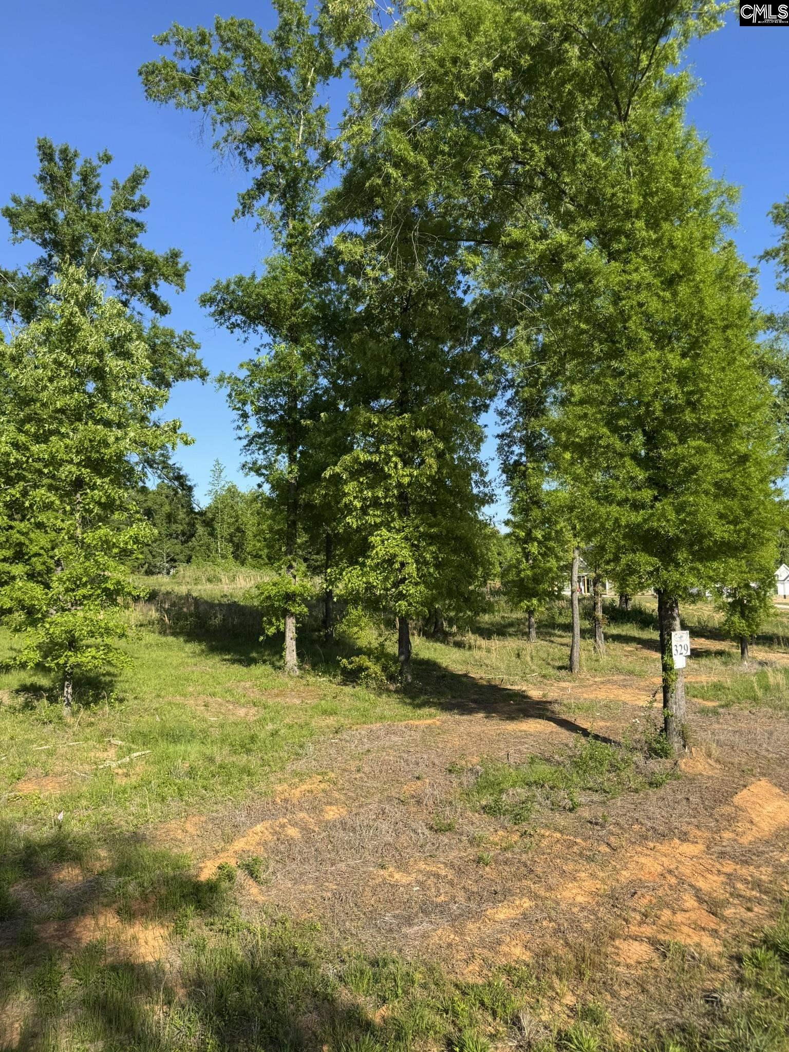 238 Navigator Trail Prosperity, SC 29127 - Photo 3 of 22