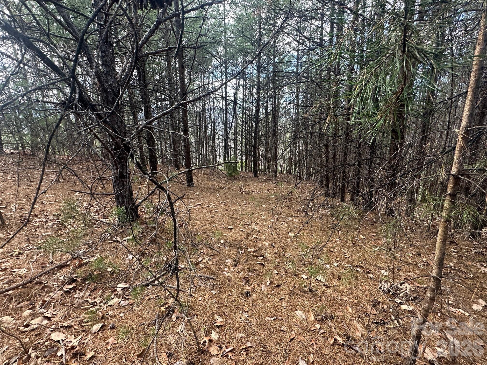 0 Boulder Ridge Lake Lure, NC 28746 - Photo 3 of 9