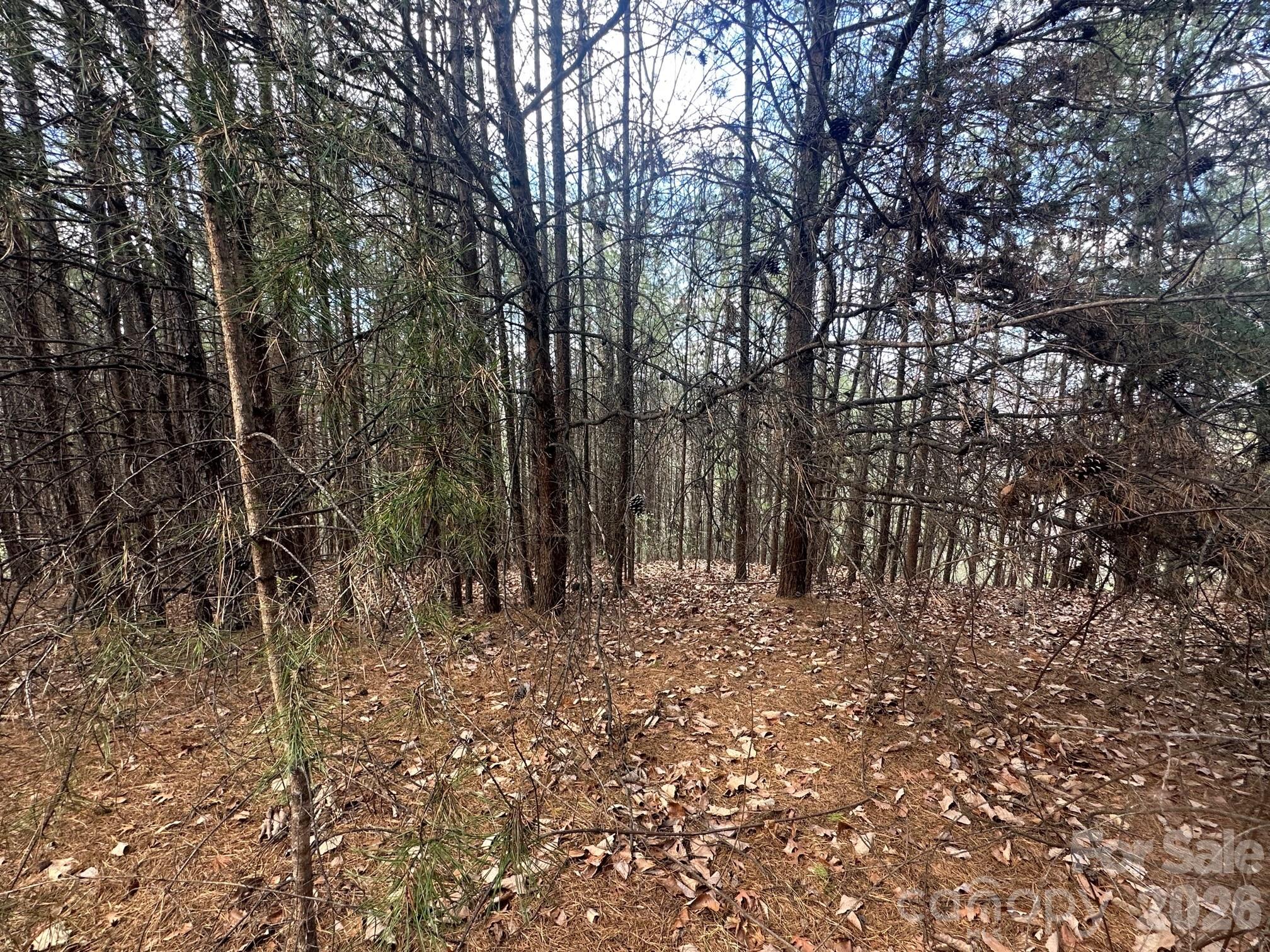 0 Boulder Ridge Lake Lure, NC 28746 - Photo 6 of 9