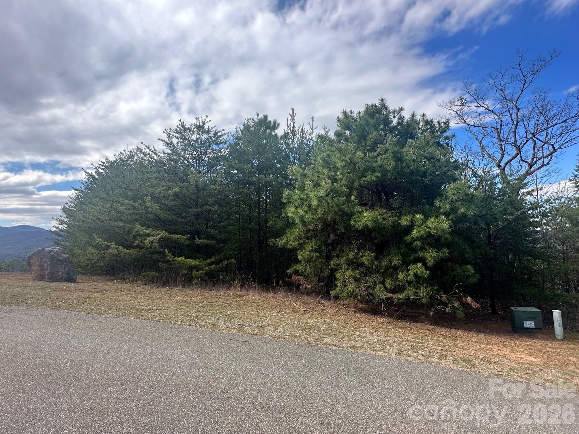 0 Boulder Ridge Lake Lure, NC 28746 - Photo 7 of 9