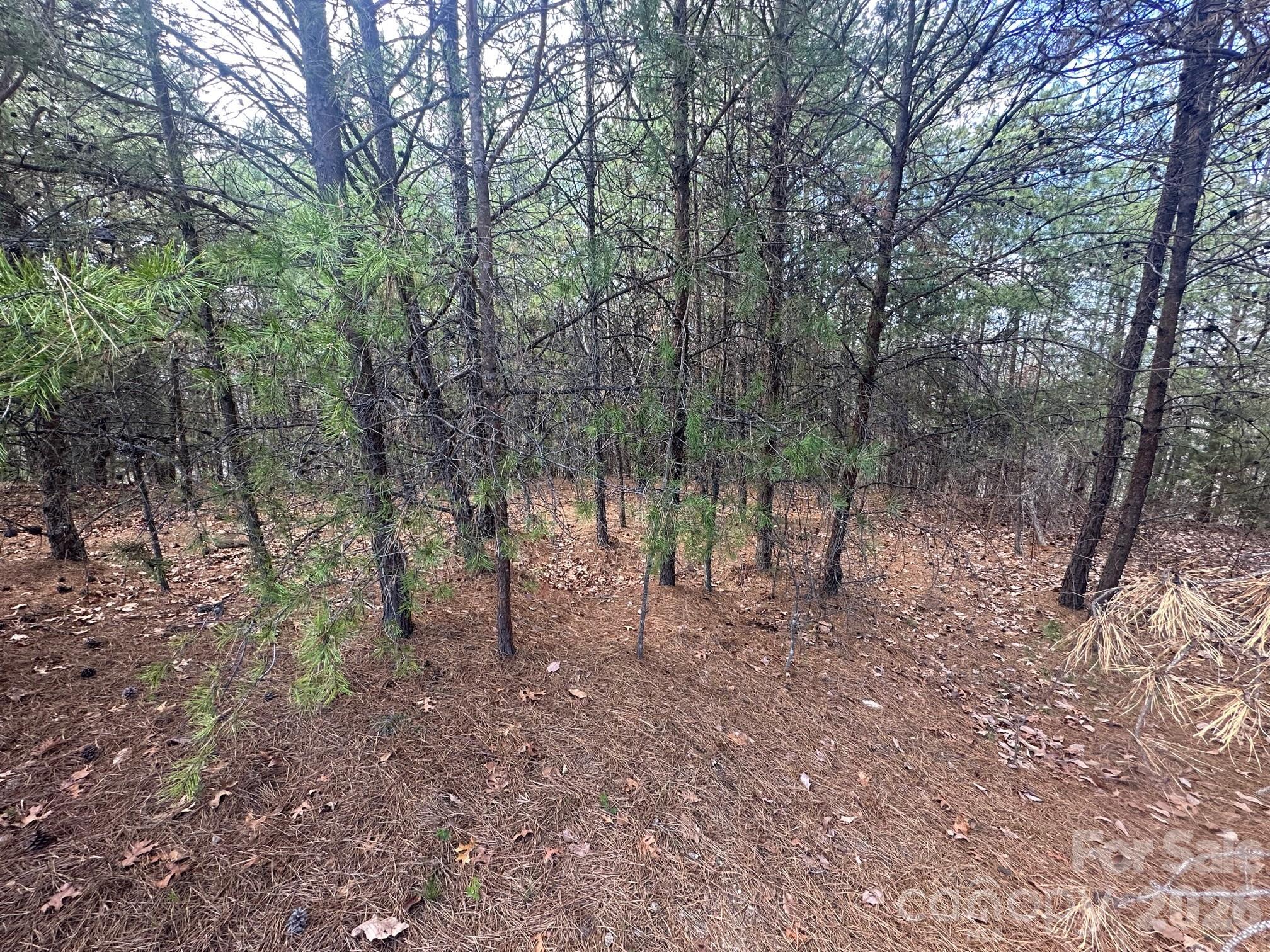 0 Boulder Ridge Lake Lure, NC 28746 - Photo 8 of 9