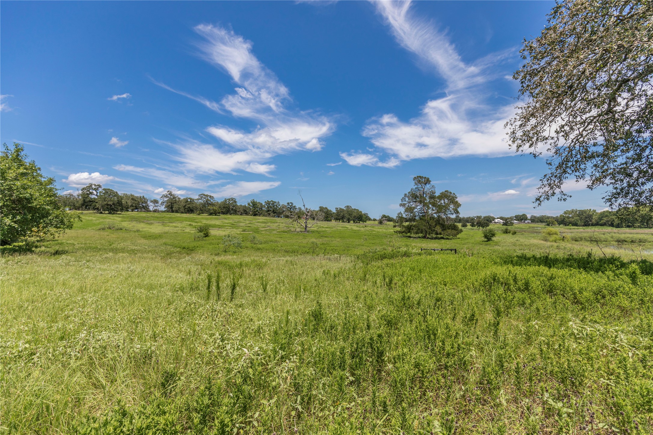 Lot 8 Mill Creek Ranch Road Bellville, TX 77418 - Photo 13 of 20