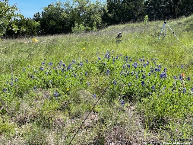 3788 Byrd Ranch Road Johnson City, TX 78636 - Photo 2 of 5