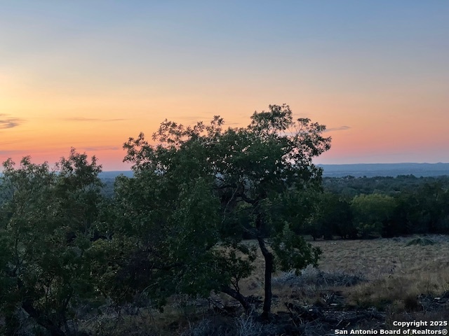 3788 Byrd Ranch Road Johnson City, TX 78636 - Photo 3 of 5