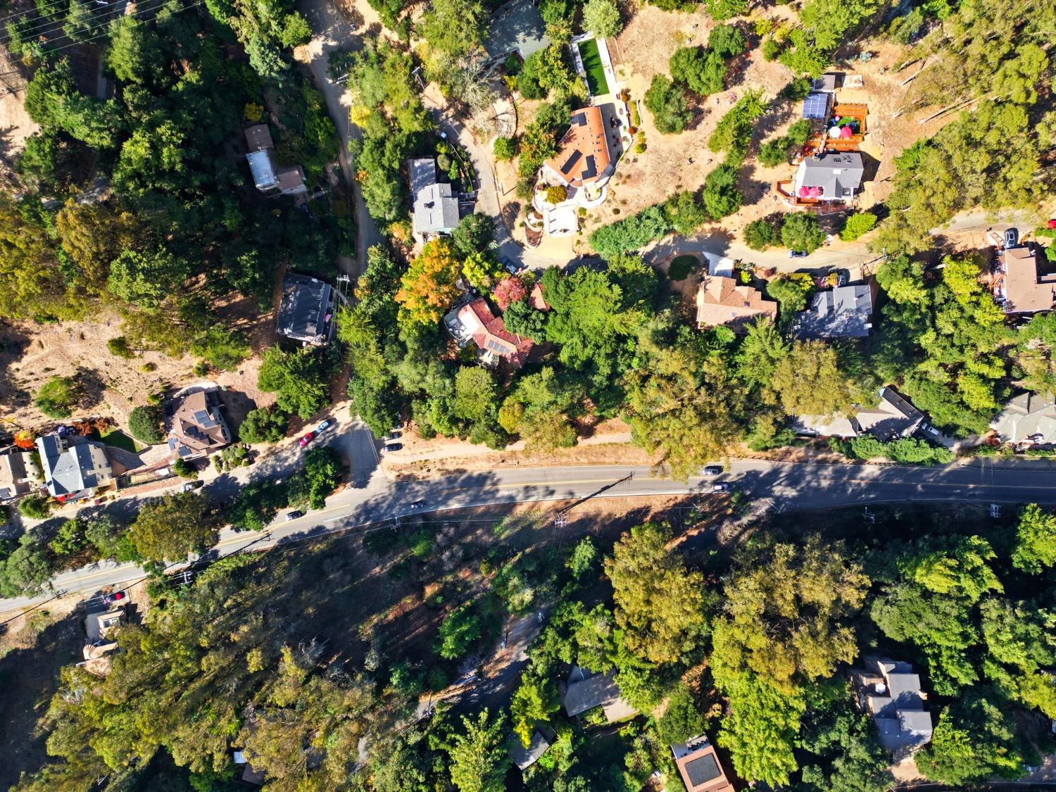 0 Shepherd Canyon Road Oakland, CA 94611 - Photo 18 of 33 a view of a tree