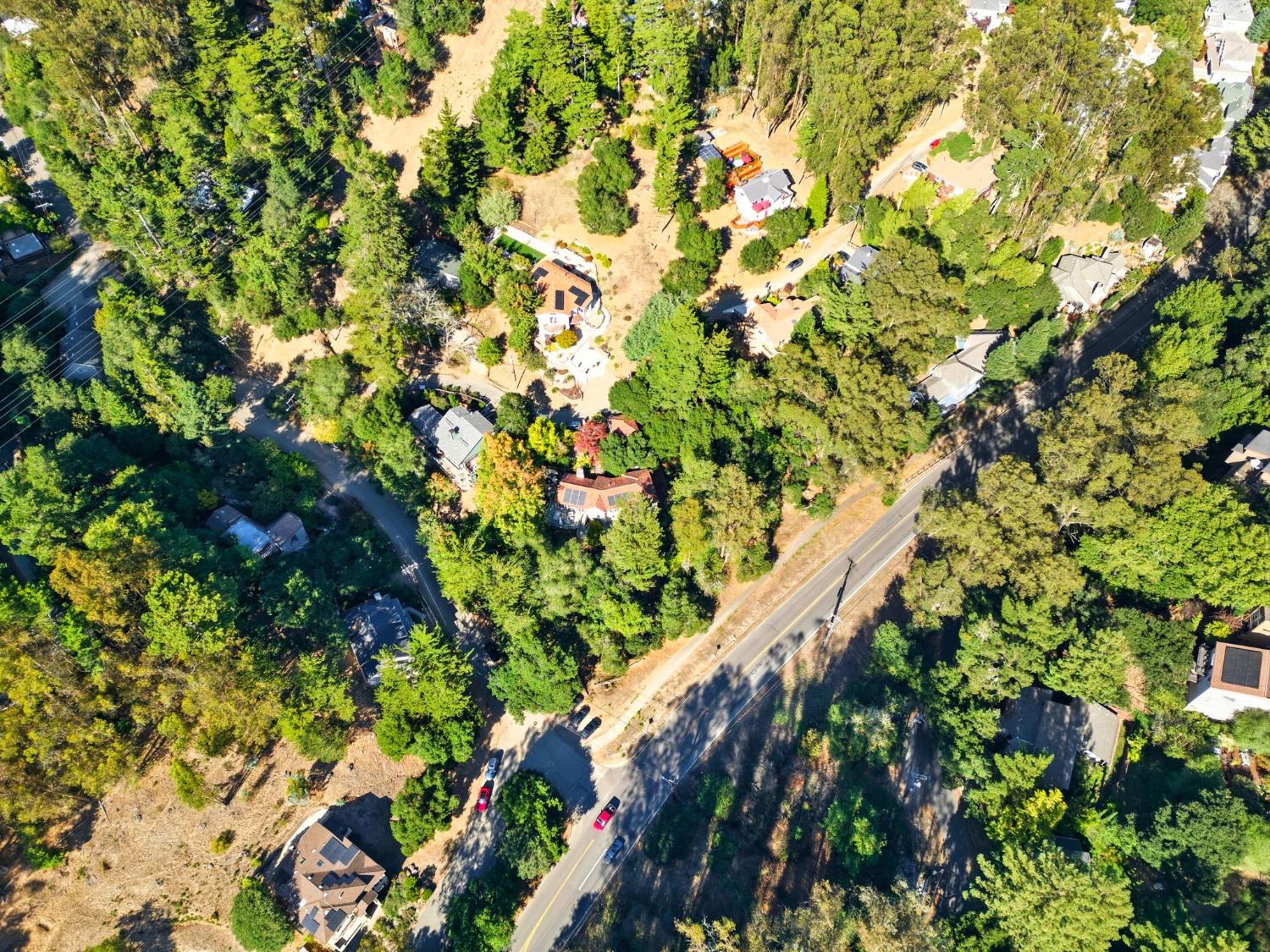 0 Shepherd Canyon Road Oakland, CA 94611 - Photo 22 of 33 a view of a plant with a plant