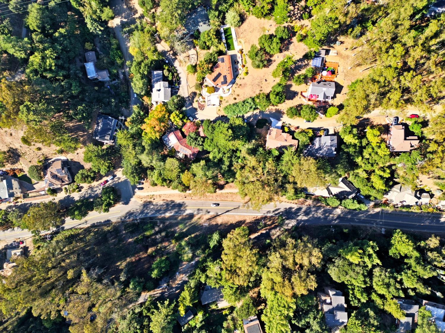 0 Shepherd Canyon Road Oakland, CA 94611 - Photo 28 of 33 a view of a tree with plants