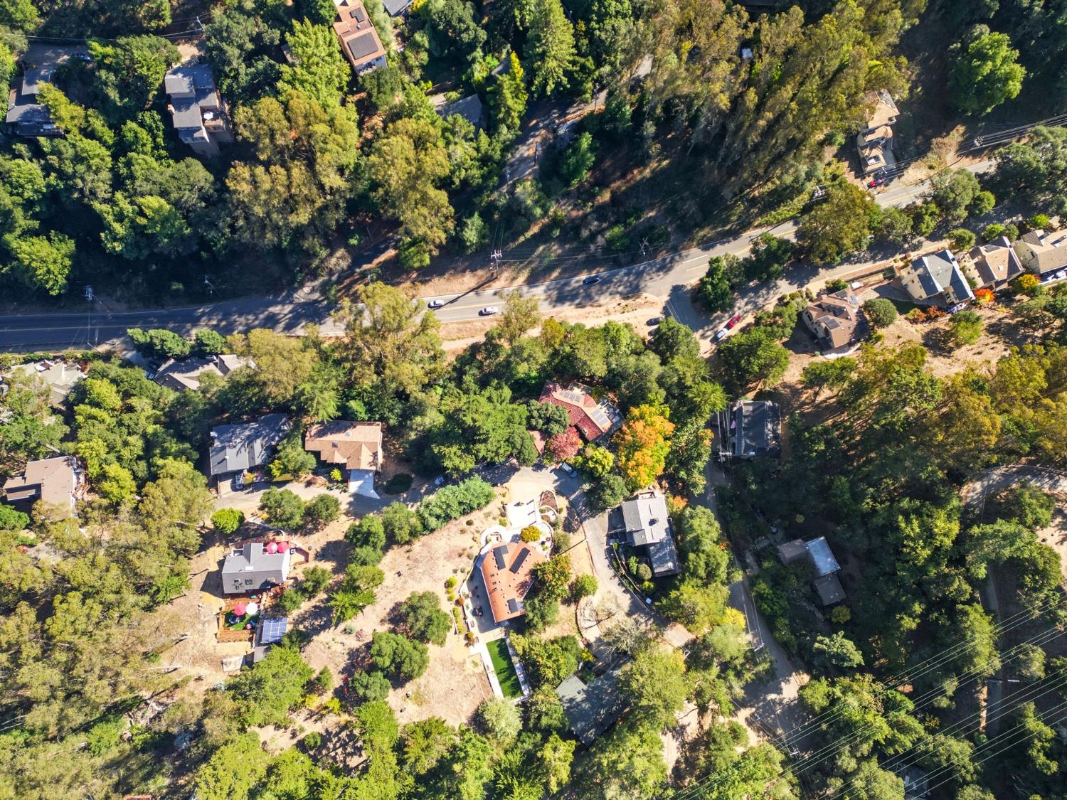 0 Shepherd Canyon Road Oakland, CA 94611 - Photo 29 of 33 a picture of flowers