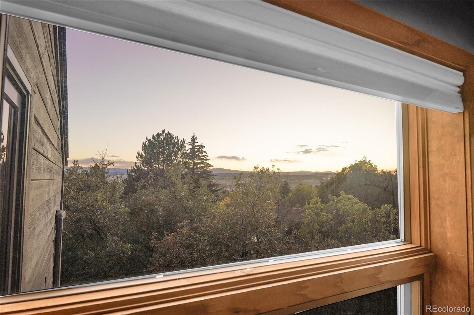 25 Oak Ridge Drive Castle Rock, CO 80104 - Photo 26 of 49