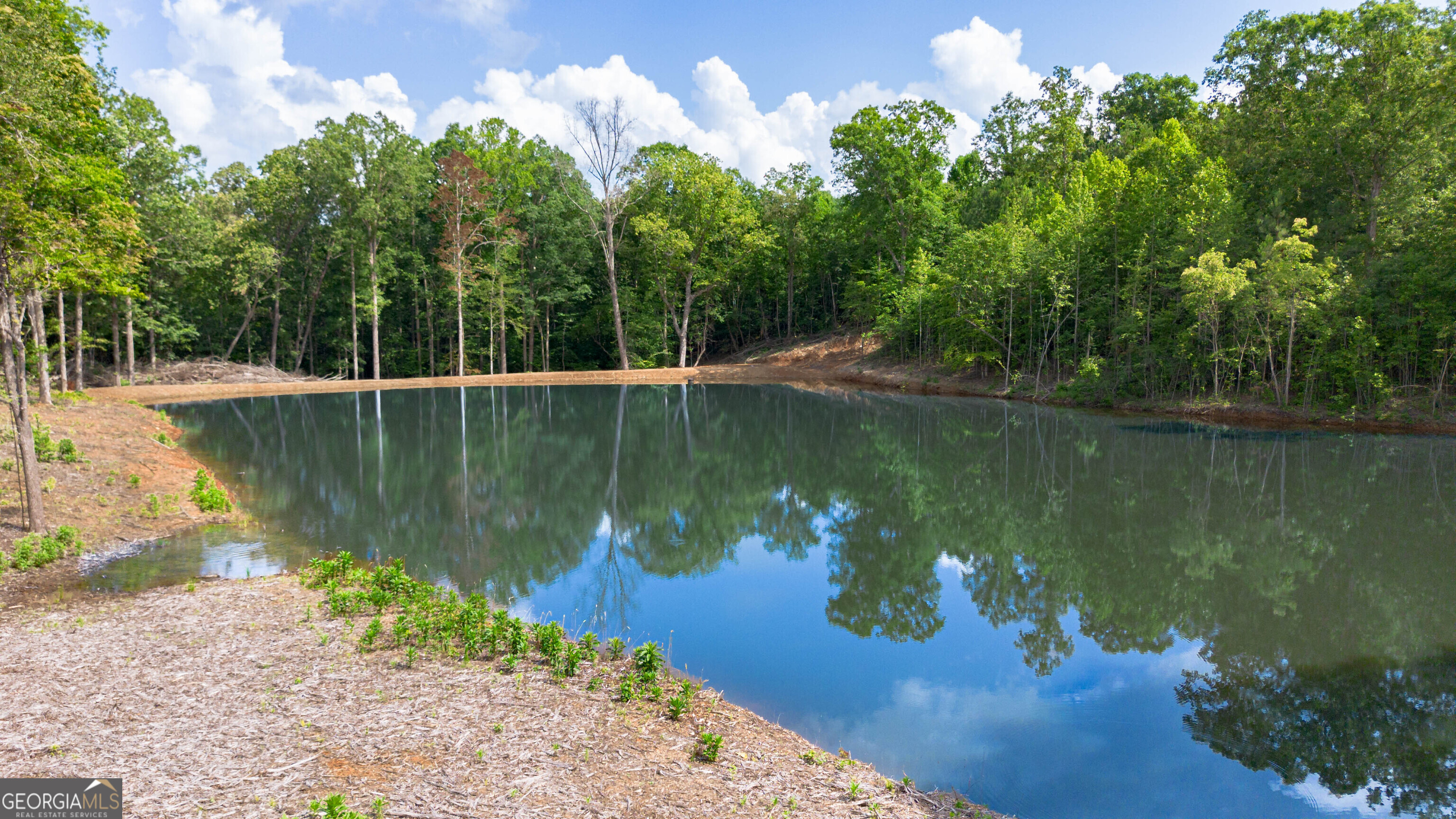 0 Vineyard Fruithurst, AL 36262 - Photo 5 of 21