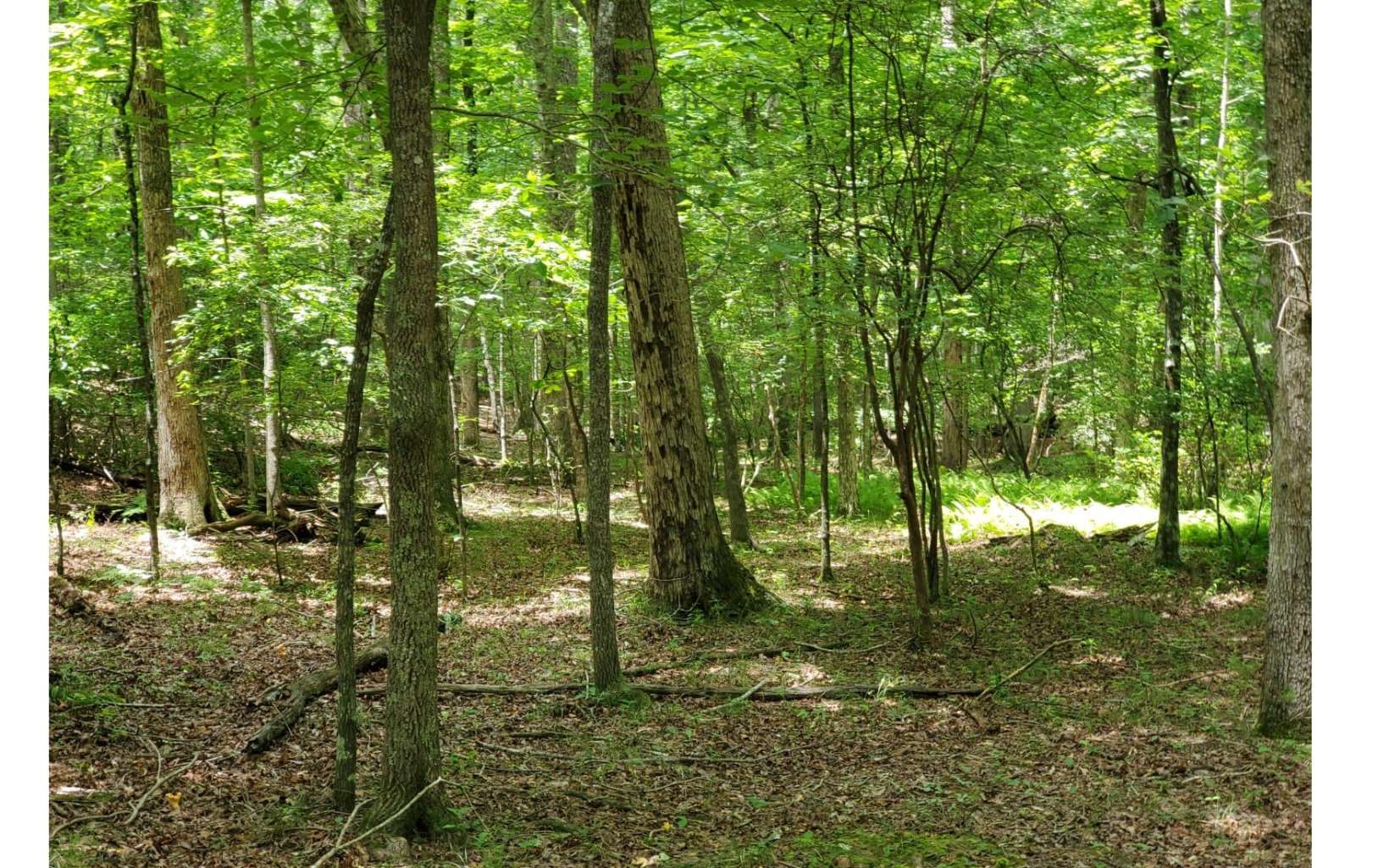 56 A Raven Cliff Road Talking Rock, GA 30175 - Photo 2 of 5 Additional View