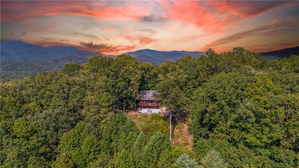 832 Scenic Mountain View Road Blue Ridge, GA 30513 - Photo 51 of 56 a view of a yard