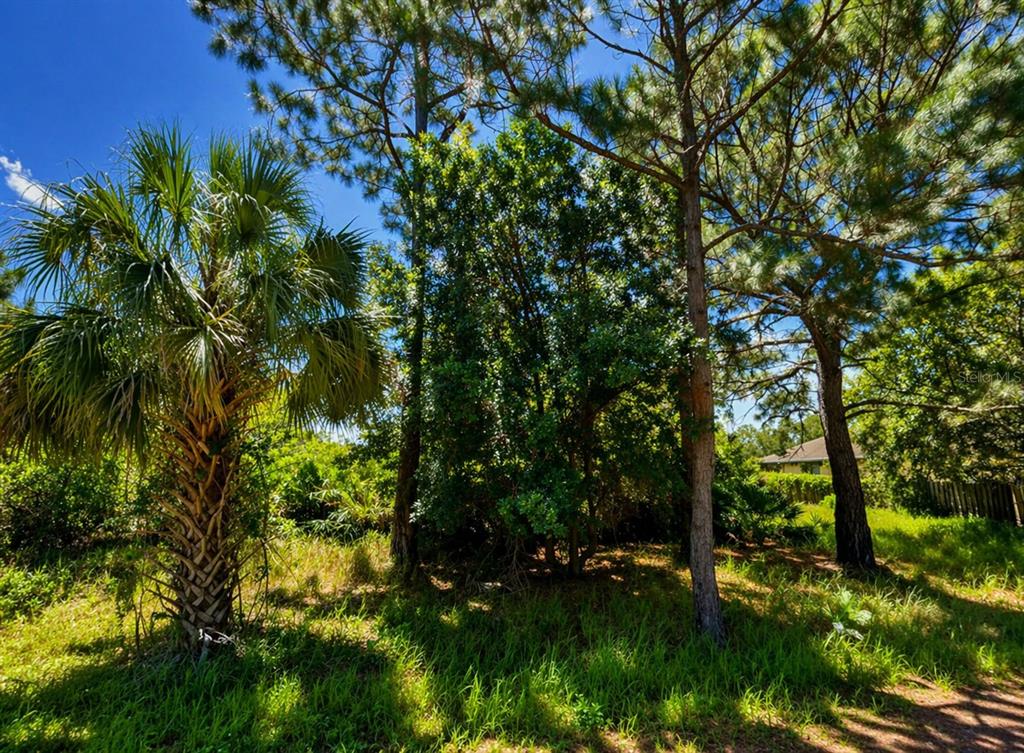 112 Crescent Street Southeast Palm Bay, FL 32909 - Photo 2 of 3