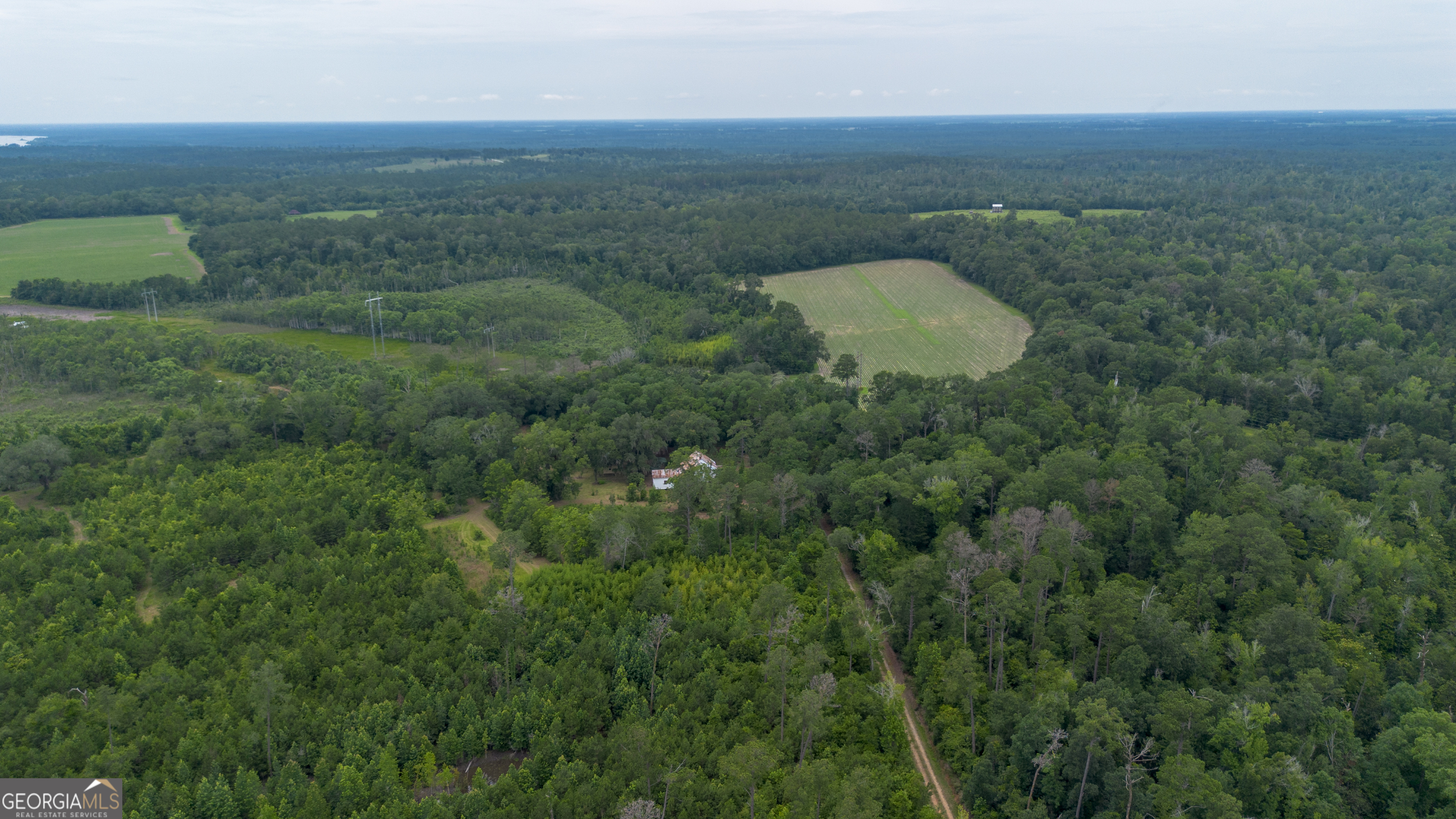 276 Mclauglin Road Bainbridge, GA 39819 - Photo 7 of 89 Gallery Image 7
