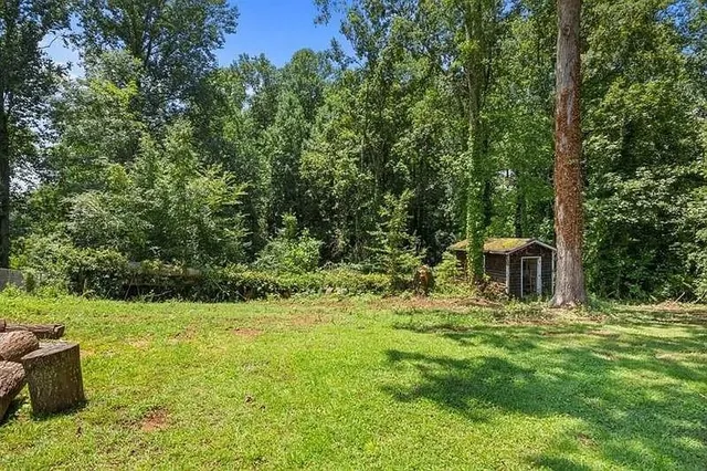 a view of a garden with a bench
