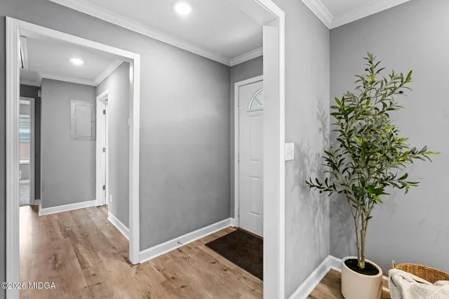 an entryway with a potted plant in front of door