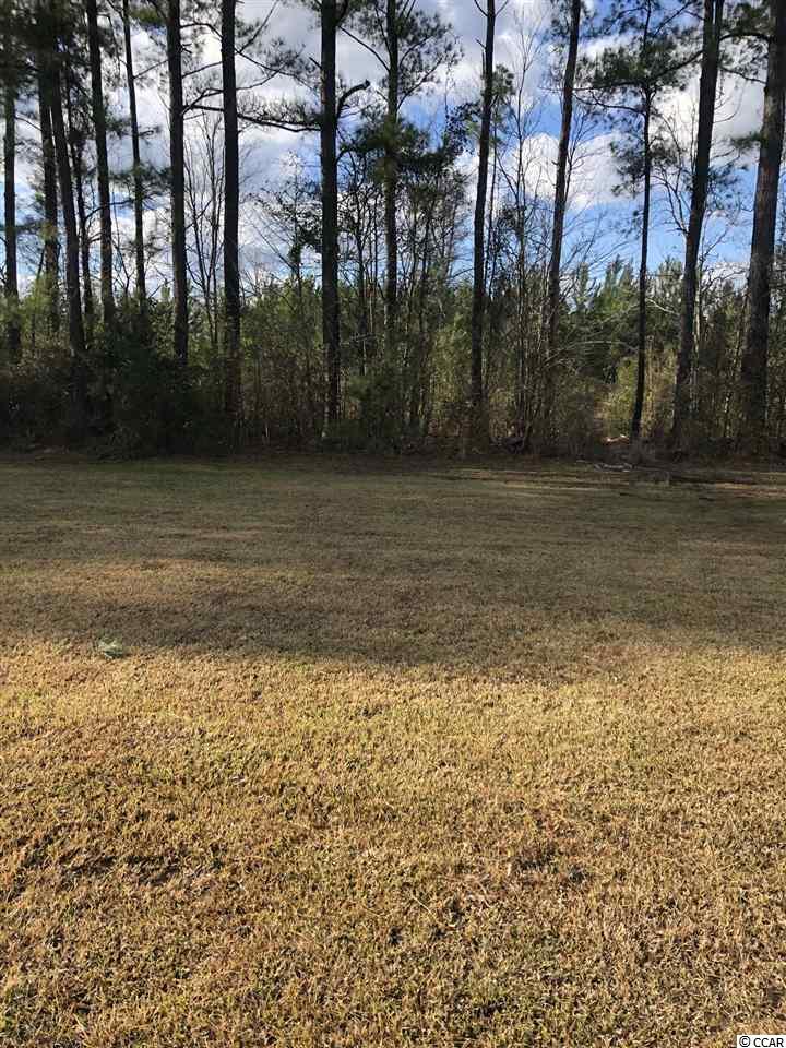 460 Broken Arrow Road Galivants Ferry, SC 29544 - Photo 22 of 24 Gallery Image 22