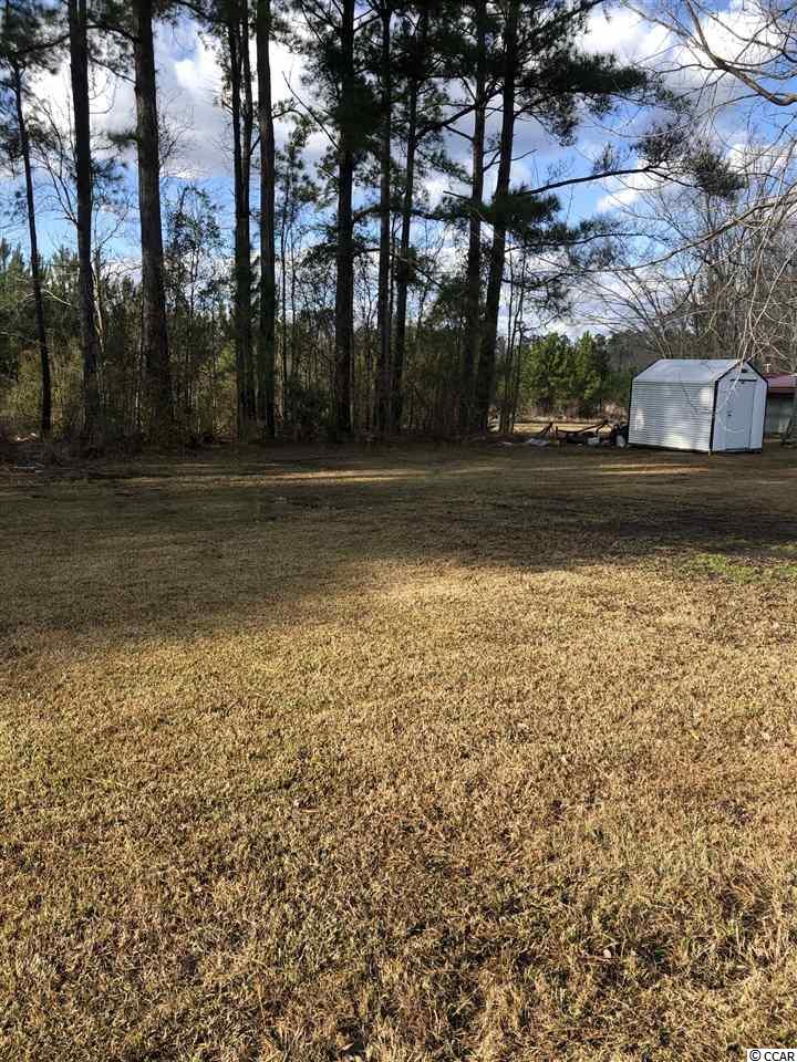 460 Broken Arrow Road Galivants Ferry, SC 29544 - Photo 23 of 24 Gallery Image 23