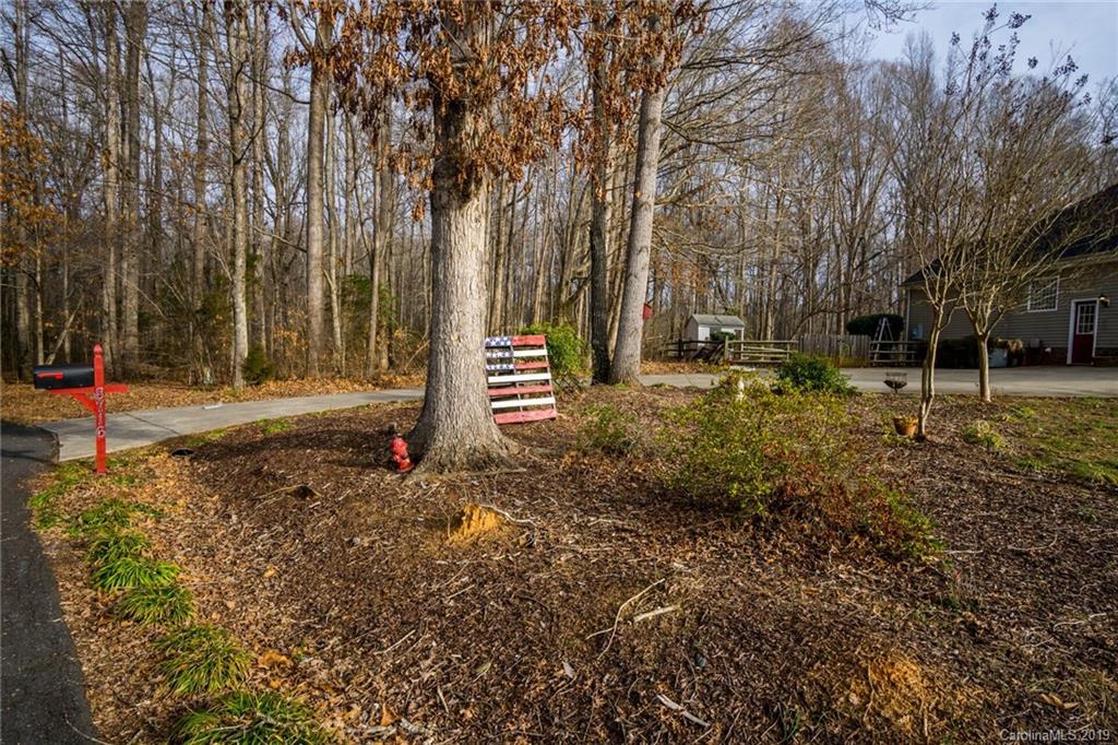 8716 West Meadow Ridge Road Indian Land, SC 29707 - Photo 7 of 29