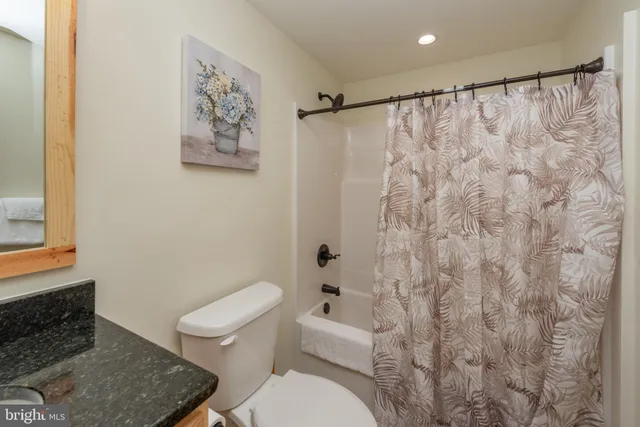 a white toilet sitting next to a shower curtain