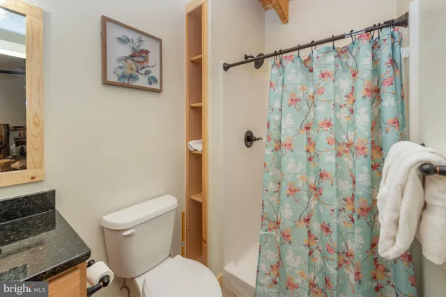 a white toilet sitting next to a shower curtain