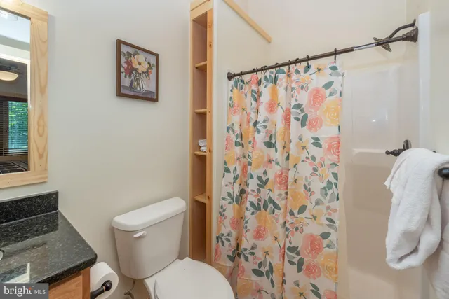 a white toilet sitting next to a shower curtain
