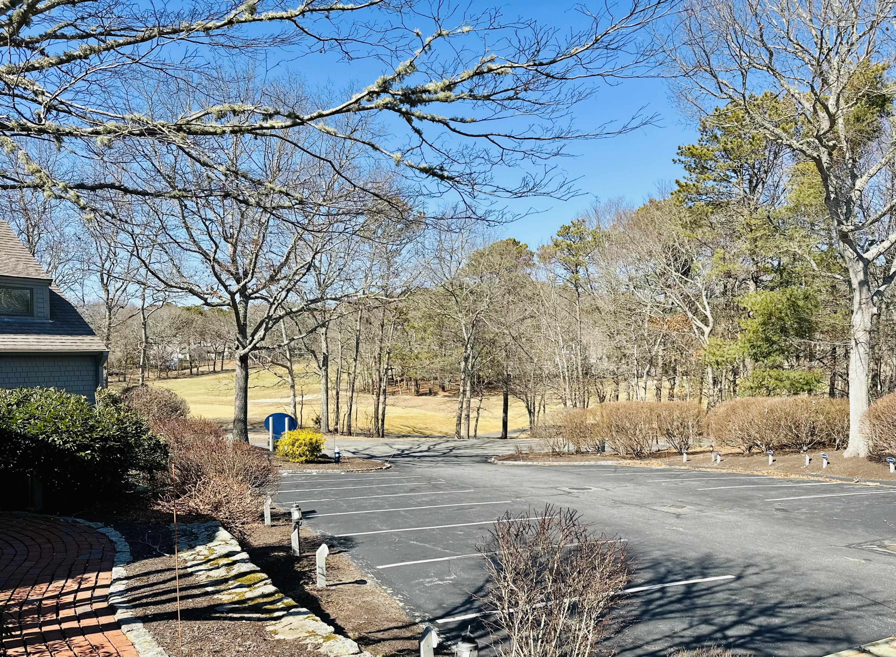 22 Mid-Iron Way, Unit 7517 Mashpee, MA 02649 - Photo 40 of 47 a view of yard with tree s