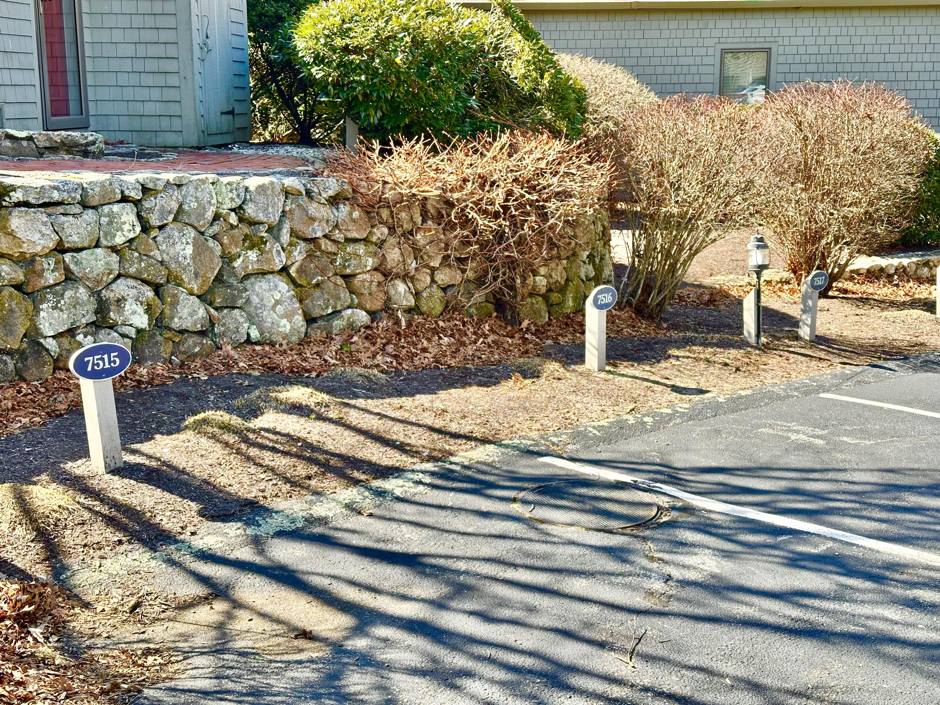 22 Mid-Iron Way, Unit 7517 Mashpee, MA 02649 - Photo 41 of 47 a vase of flowers sitting on a side of a road