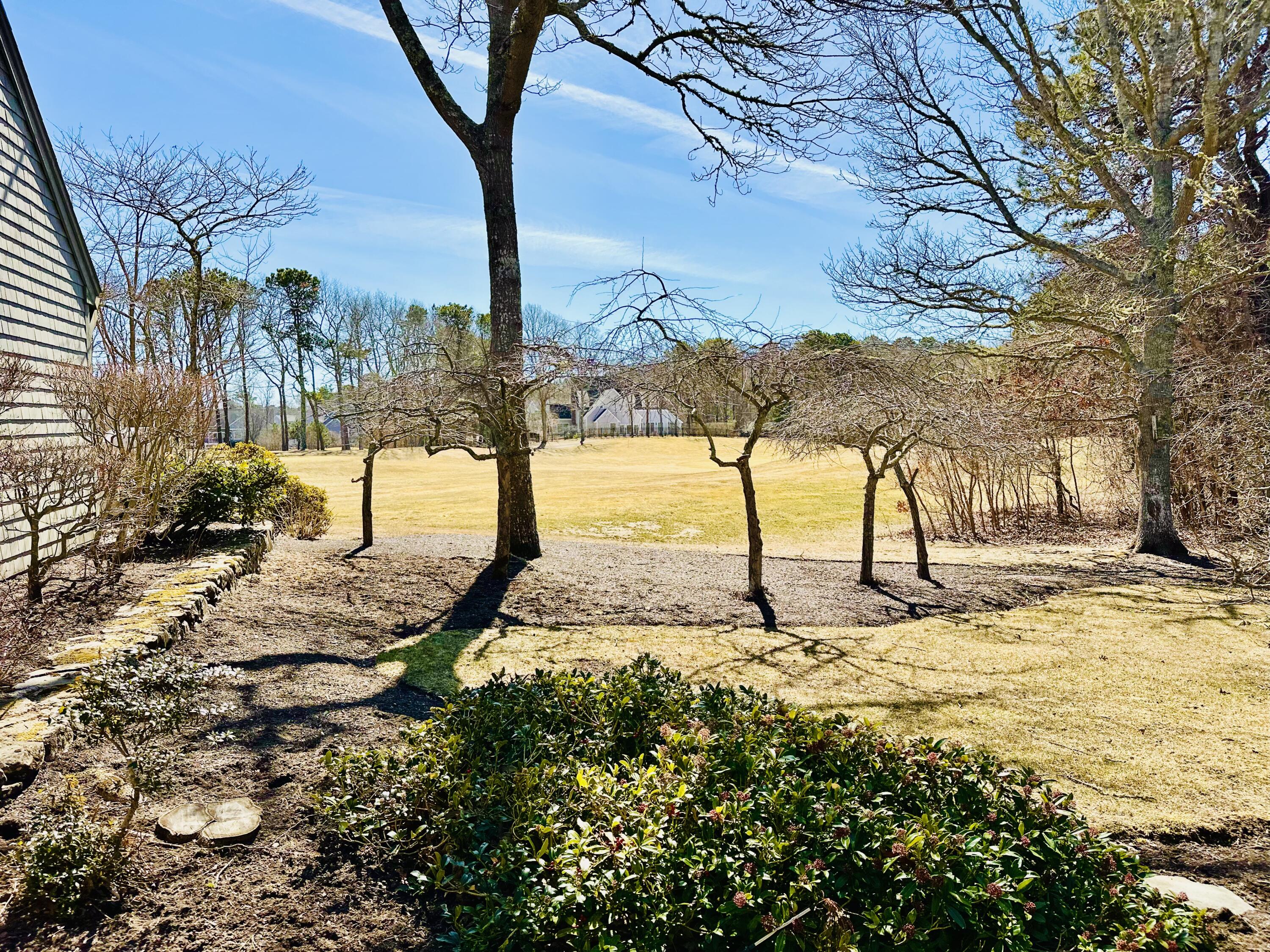 22 Mid-Iron Way, Unit 7517 Mashpee, MA 02649 - Photo 42 of 47 a view of a yard with trees