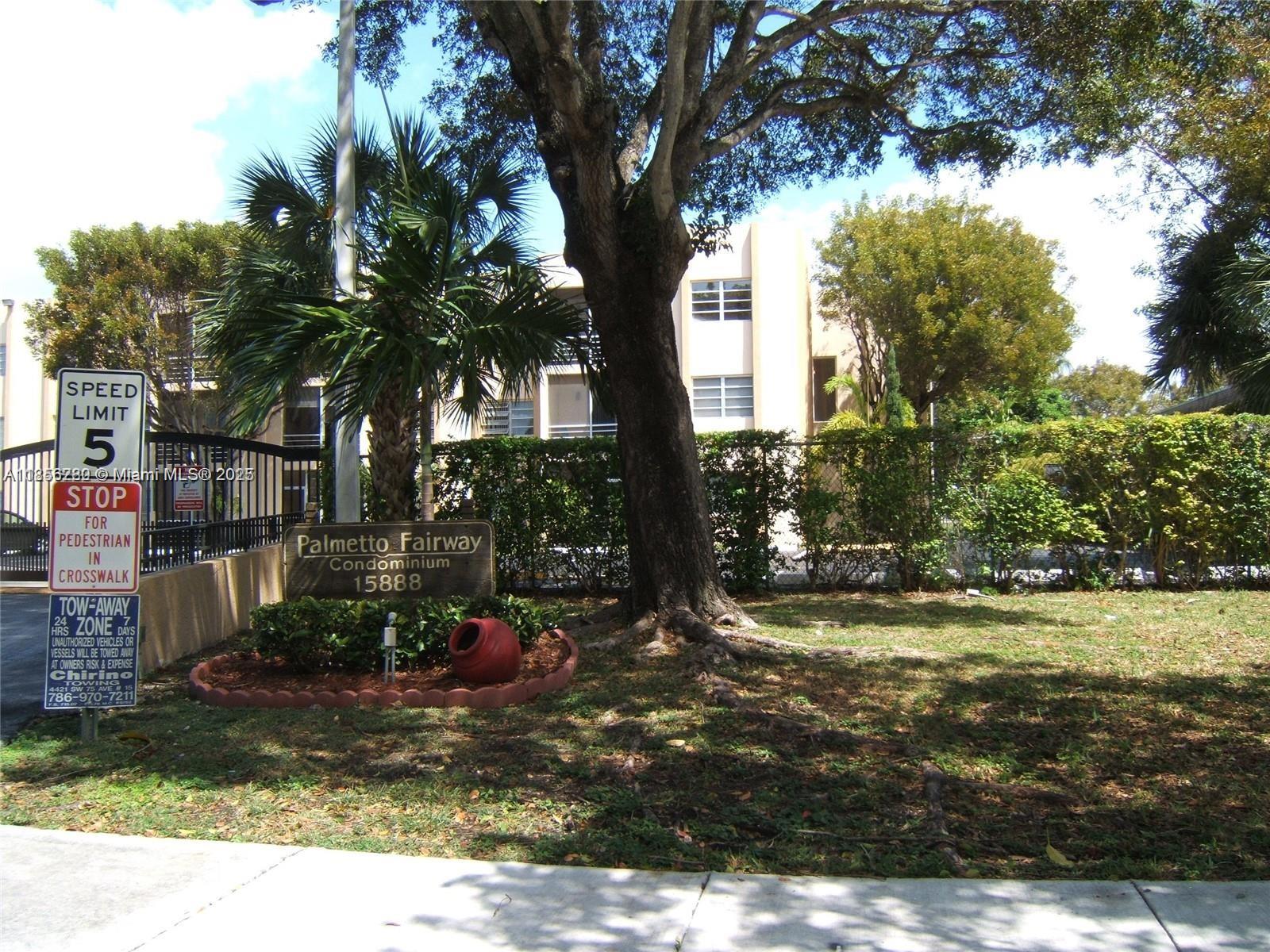 a view of a tree in a yard with a fountain
